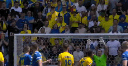 欧洲杯半场：鲁宁惊慌送大礼 斯坦丘射出世界波 罗马尼亚暂时1-0乌克兰