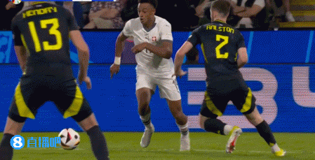 悲剧瑞士前锋射门撞上看台 球迷伸手挡球 反弹打在老球迷脸上